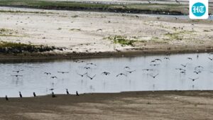 why-delhi’s-water-crisis-keeps-returning-to-the-same-choke-point