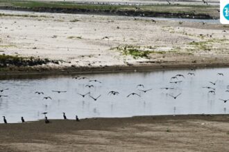 why-delhi’s-water-crisis-keeps-returning-to-the-same-choke-point