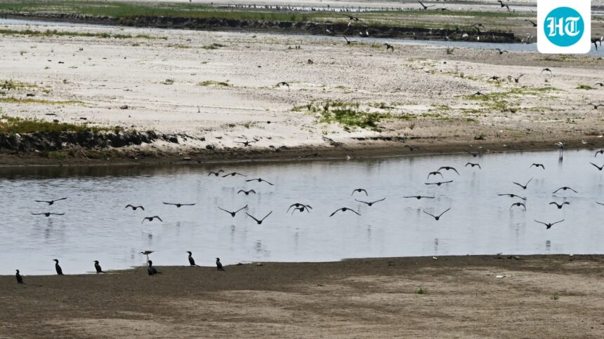why-delhi’s-water-crisis-keeps-returning-to-the-same-choke-point