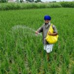 the-government-sees-an-increase-in-subsidies,-but-no-impact-on-growth