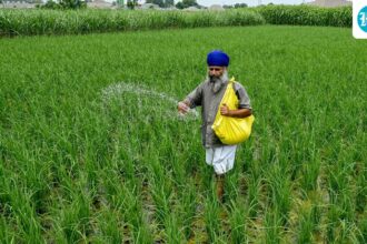 the-government-sees-an-increase-in-subsidies,-but-no-impact-on-growth