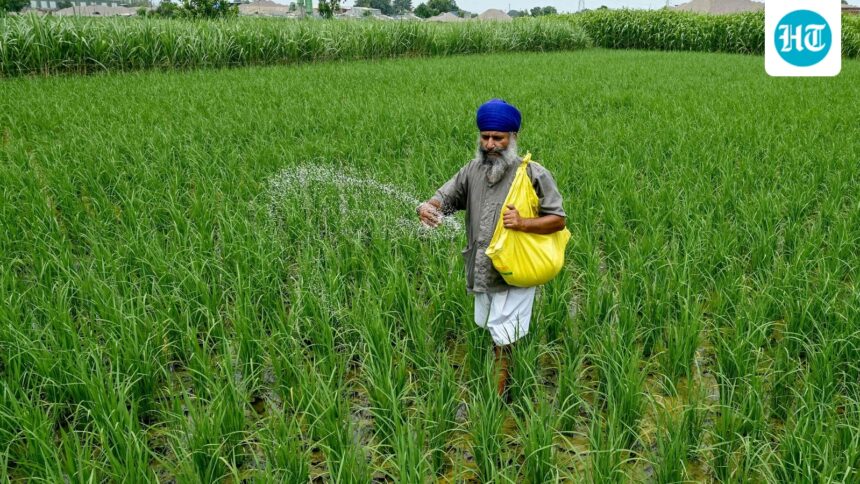 the-government-sees-an-increase-in-subsidies-but-no-impact-on-growth | GIBN the-government-sees-an-increase-in-subsidies,-but-no-impact-on-growth