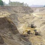 wildlife-experts-write-to-the-gujarat-government-to-report-threats-facing-asiatic-lions-in-gir