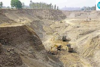 wildlife-experts-write-to-the-gujarat-government-to-report-threats-facing-asiatic-lions-in-gir
