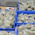aquatic-weed-worth-rs-5.38-crore,-hidden-in-geysers,-seized-at-delhi-airport