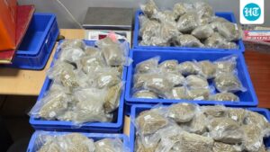 aquatic-weed-worth-rs-5.38-crore,-hidden-in-geysers,-seized-at-delhi-airport