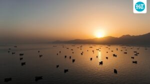 india-summons-us-diplomat-over-attack-on-oil-tanker-off-oman