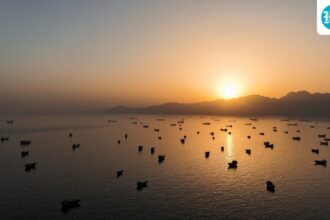 india-summons-us-diplomat-over-attack-on-oil-tanker-off-oman