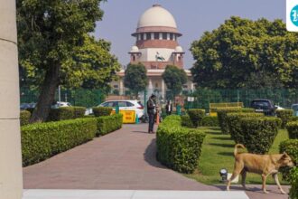 housewives-are-‘nation-builders’,-their-work-is-at-least-rs-30-lakh-per-month:-supreme-court