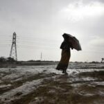 weather-bee:-is-it-2023-again-for-global-temperatures?