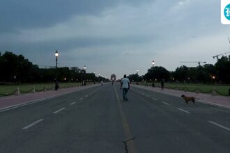 rainy-spell-will-continue-in-northern-india-until-next-week;-rain-and-gusty-winds-likely-in-delhi,-up,-punjab