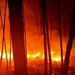 rajouri-in-j&k-records-more-than-100-forest-fire-incidents,-with-850-hectares-affected