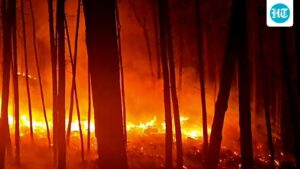 rajouri-in-j&k-records-more-than-100-forest-fire-incidents,-with-850-hectares-affected