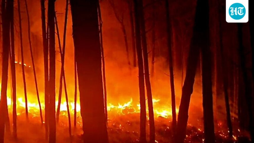 rajouri-in-j&k-records-more-than-100-forest-fire-incidents,-with-850-hectares-affected