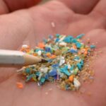 scientifically:-plastic-is-inside-us,-but-we-can-reduce-our-exposure-to-it