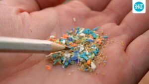 scientifically:-plastic-is-inside-us,-but-we-can-reduce-our-exposure-to-it