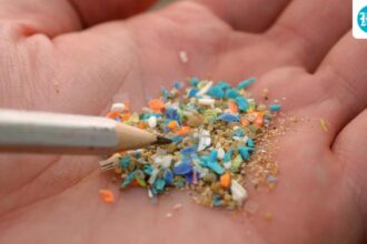 scientifically:-plastic-is-inside-us,-but-we-can-reduce-our-exposure-to-it