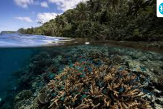 study-identifies-climate-resilient-coral-reefs-around-the-world,-calls-for-better-protection