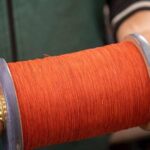 an-attempt-to-murder-case-has-been-filed-after-a-kite-string-injured-the-nephew-of-a-up-minister