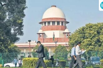sc-calls-online-scammers-‘parasites’,-refuses-to-strike-cases