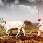 india-recovered-21.76-million-hectares-of-land-between-2011-and-2020:-bhupinder-yadav