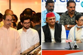 amid-tmc,-shiv-sena-(ubt)-rebellions,-numbers-that-could-benefit-nda-in-parliament