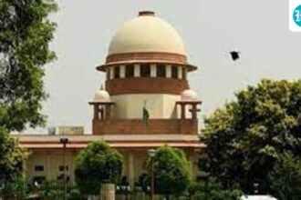 the-supreme-council-warns-of-brain-drain-and-directs-the-establishment-of-a-fund-for-struggling-young-lawyers