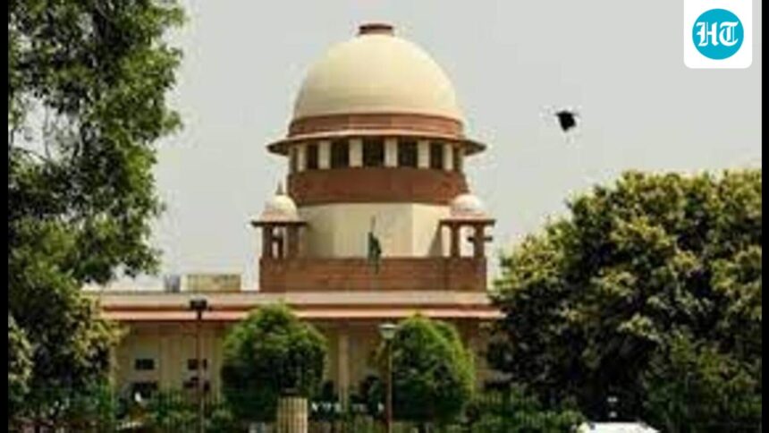 the-supreme-council-warns-of-brain-drain-and-directs-the-establishment-of-a-fund-for-struggling-young-lawyers