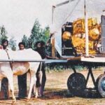before-india’s-space-breakthrough,-isro-had-to-put-a-673-kg-satellite-on-an-ox-cart