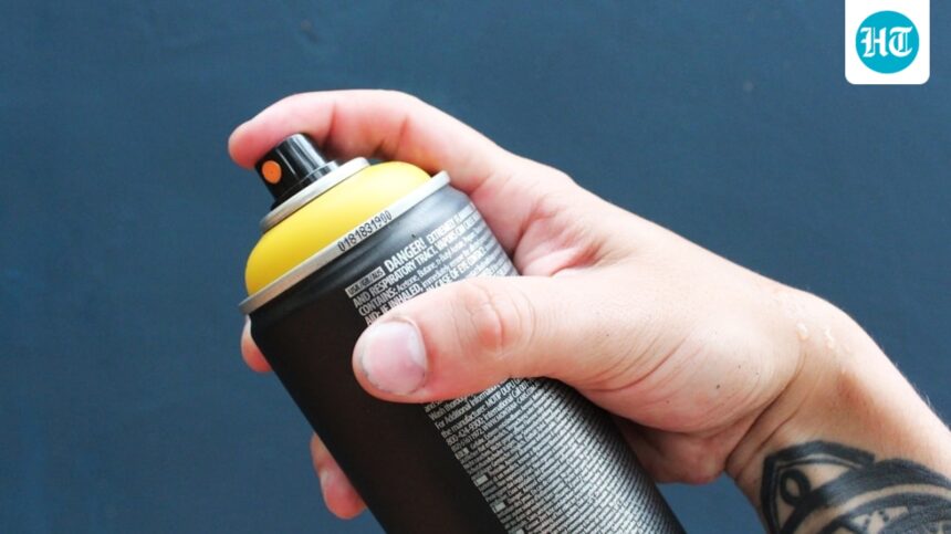 delhi:-a-child-accidentally-consumed-mosquito-repellent-liquid-and-is-making-a-remarkable-recovery
