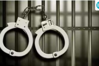royal-bengal-tiger-skin-seized,-odisha-man-detained-in-nabarangpur:-forest-officials