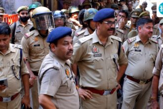 the-rape-of-an-infant-by-a-12-year-old-relative;-the-accused-was-drunk-and-watched-pornographic-films-before-committing-the-crime