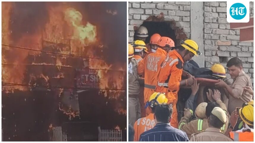 3-killed-in-fire-at-lucknow-training-center-students-jump-from-the-building-to-escape | GIBN 3-killed-in-fire-at-lucknow-training-center;-students-jump-from-the-building-to-escape