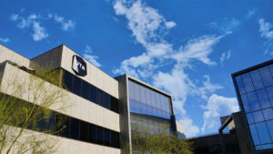 uta-partners-in-new-digital-insights-tool-for-creators-and-brands-(exclusive)