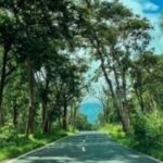 safaris-reopen-in-bandipur-and-nagarhole-forest