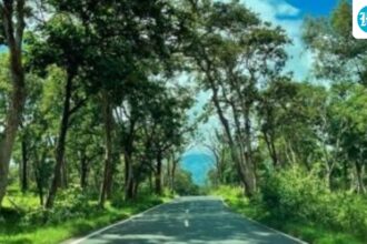 safaris-reopen-in-bandipur-and-nagarhole-forest
