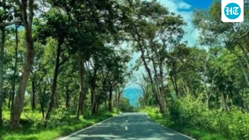 safaris-reopen-in-bandipur-and-nagarhole-forest