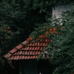 a-house-was-raided-in-kerala-over-allegations-of-fake-medicine-and-black-magic-in-the-name-of-religion