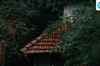a-house-was-raided-in-kerala-over-allegations-of-fake-medicine-and-black-magic-in-the-name-of-religion