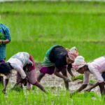 vb-g-ram-g-introduces-a-new-daily-wage-system-for-people-with-disabilities,-women-and-the-elderly
