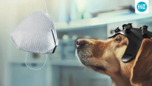 new-role-for-man’s-best-friend: detecting-cancer