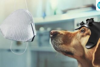 new-role-for-man’s-best-friend: detecting-cancer