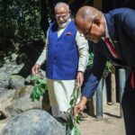 brass-tortoise-and-orchid-art:-how-pm-modi’s-gifts-showed-india’s-handmade-diplomacy-in-seychelles-|-full-list