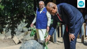 brass-tortoise-and-orchid-art:-how-pm-modi’s-gifts-showed-india’s-handmade-diplomacy-in-seychelles-|-full-list