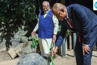 brass-tortoise-and-orchid-art:-how-pm-modi’s-gifts-showed-india’s-handmade-diplomacy-in-seychelles-|-full-list