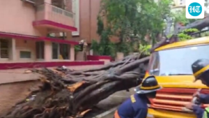 a-student-died-after-a-tree-fell-on-a-school-bus-in-mumbai’s-chembur,-and-4-were-taken-to-hospital