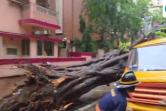 a-student-died-after-a-tree-fell-on-a-school-bus-in-mumbai’s-chembur,-and-4-were-taken-to-hospital