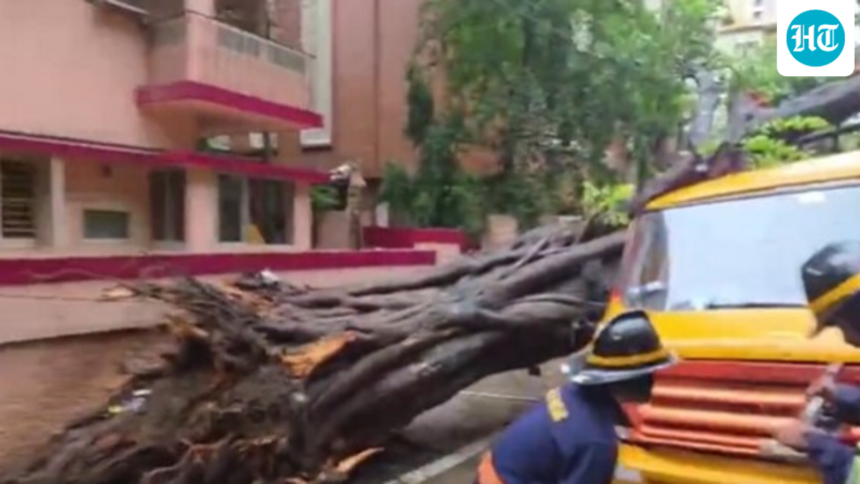 a-student-died-after-a-tree-fell-on-a-school-bus-in-mumbai’s-chembur,-and-4-were-taken-to-hospital