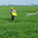 g-ram-g-act-introduced-today:-the-complete-list-of-new-statewide-daily-wage-rates
