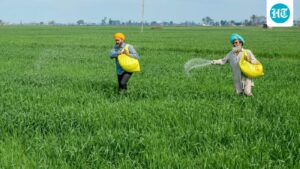 g-ram-g-act-introduced-today:-the-complete-list-of-new-statewide-daily-wage-rates